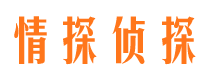 德格情探私家侦探公司